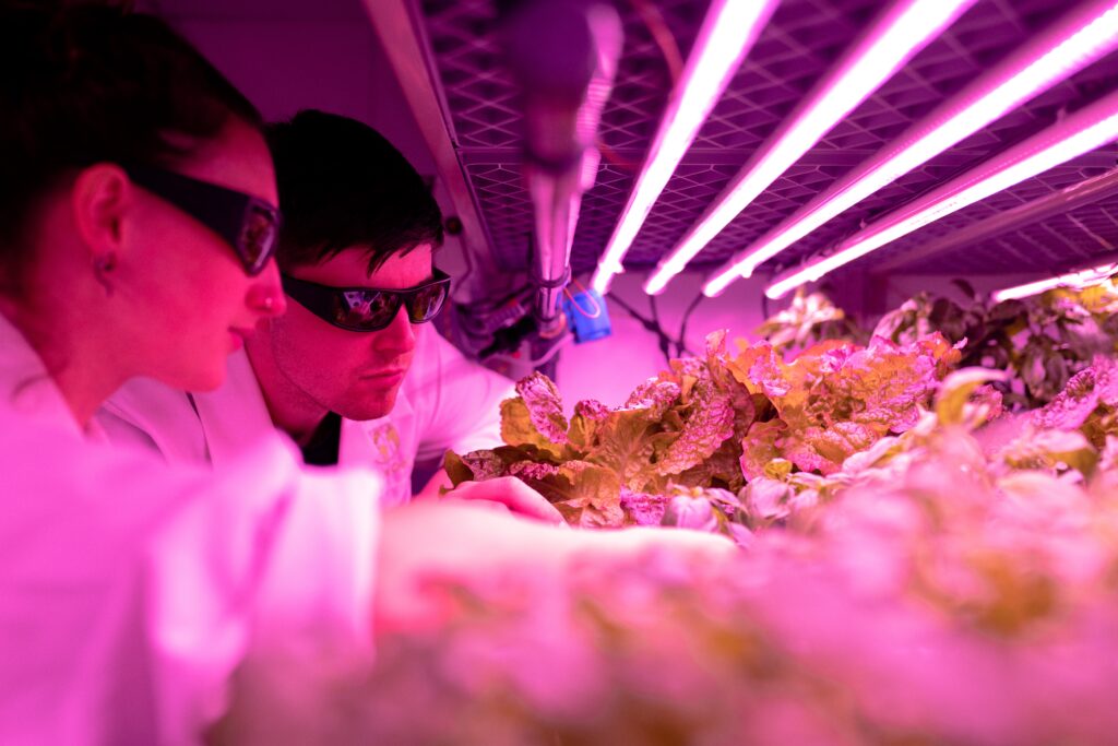 innovation in food